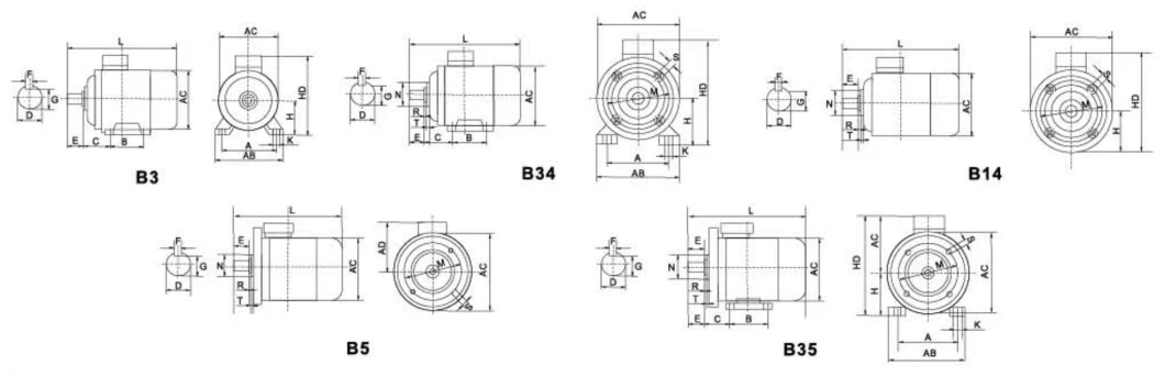 CE Approved Ie2 Efficiency 0.75kw 1500rpm Ms Series AC Electric Motor