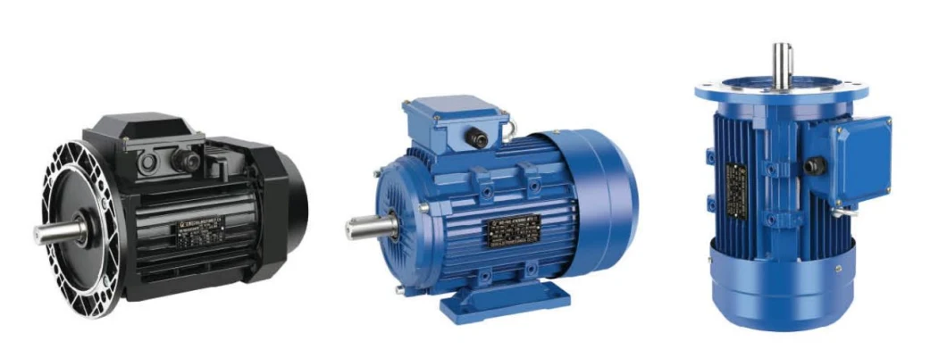 CE Approved Ie2 Efficiency 0.75kw 1500rpm Ms Series AC Electric Motor