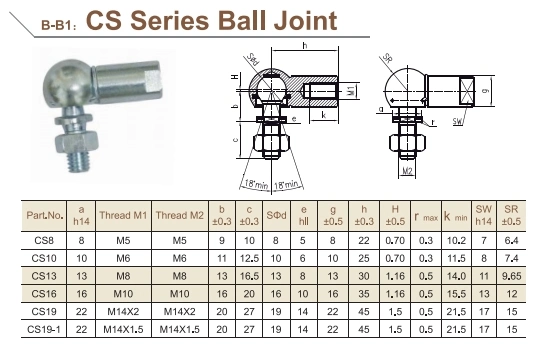 CS Series Ball Joint for Spherical Plain Bearing